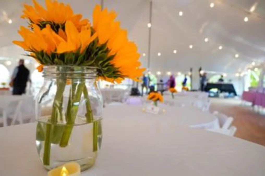 Silverwood Farm #3