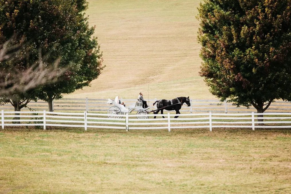 Grace Meadows Farm #13
