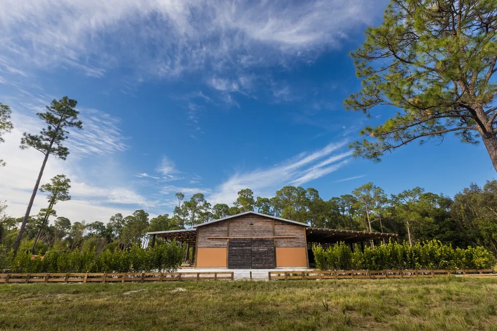 Buena Vista Farms #6