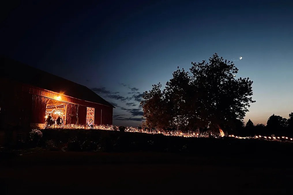 The Fiddler's Farm #7