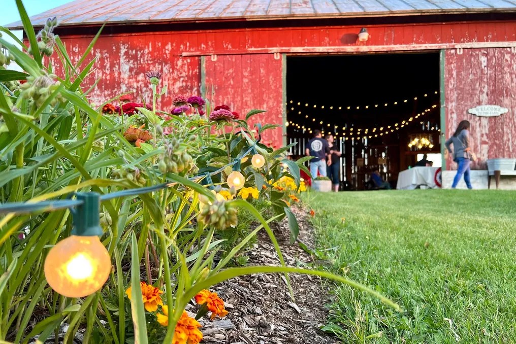 The Fiddler's Farm #8