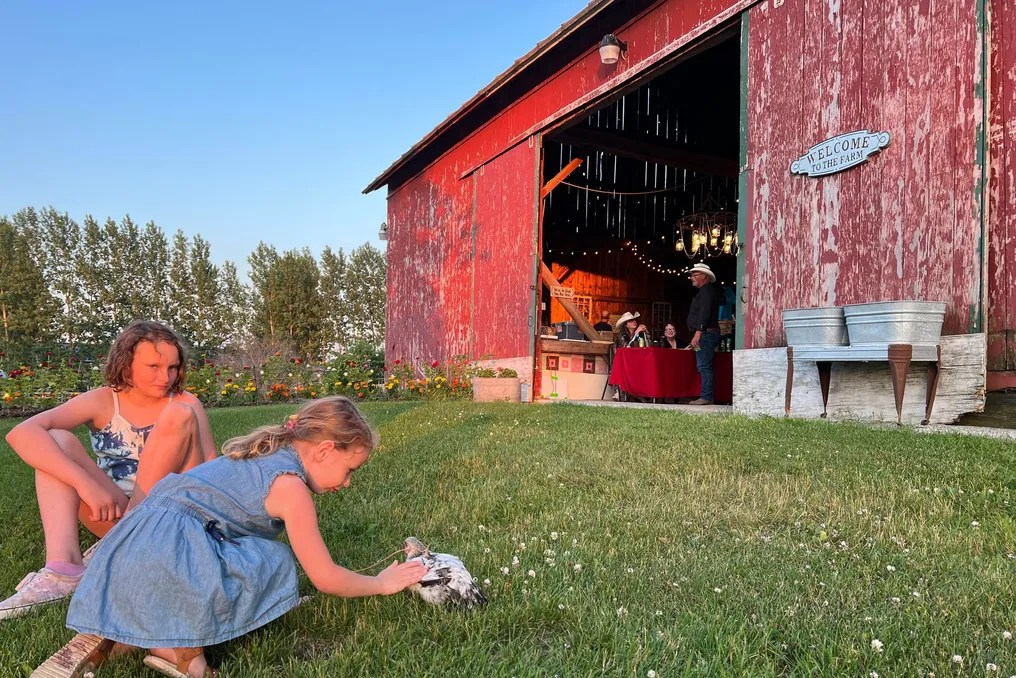 The Fiddler's Farm #10