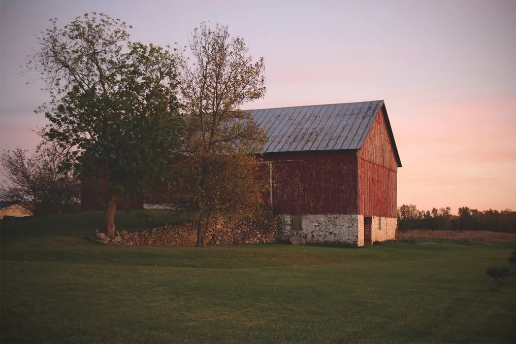 The Fiddler's Farm #11