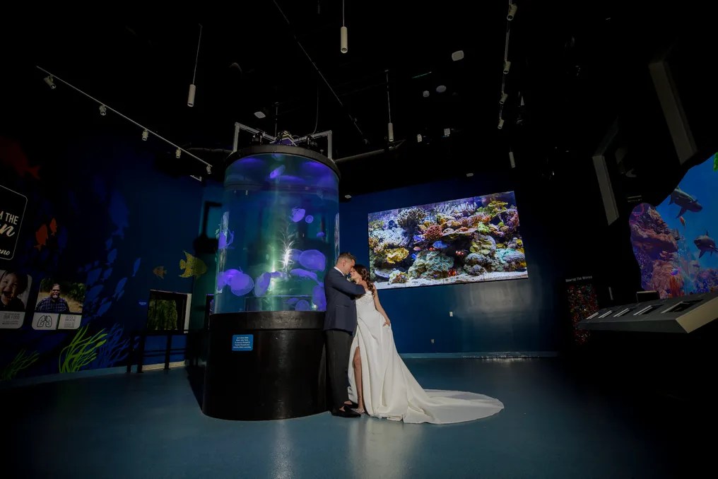Loggerhead Marinelife Center #2