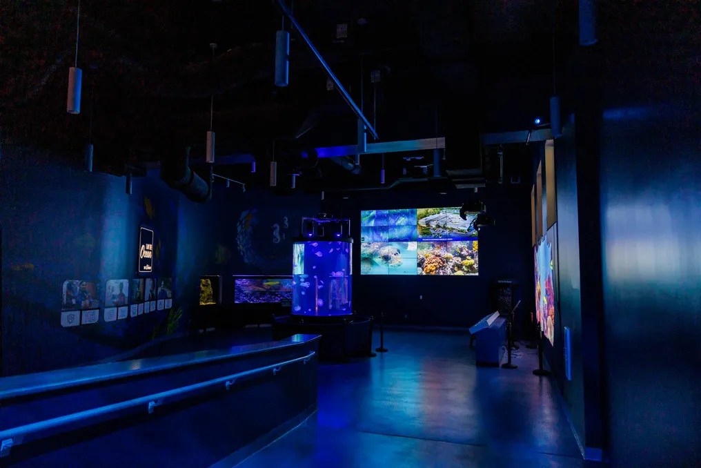 Loggerhead Marinelife Center #23