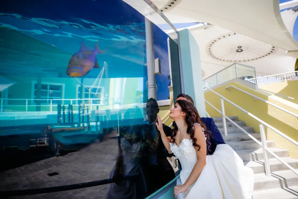 Loggerhead Marinelife Center #32