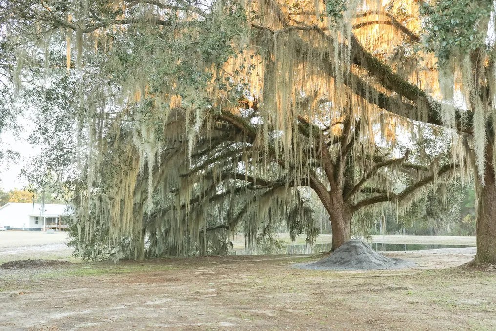 The Hideaway #7