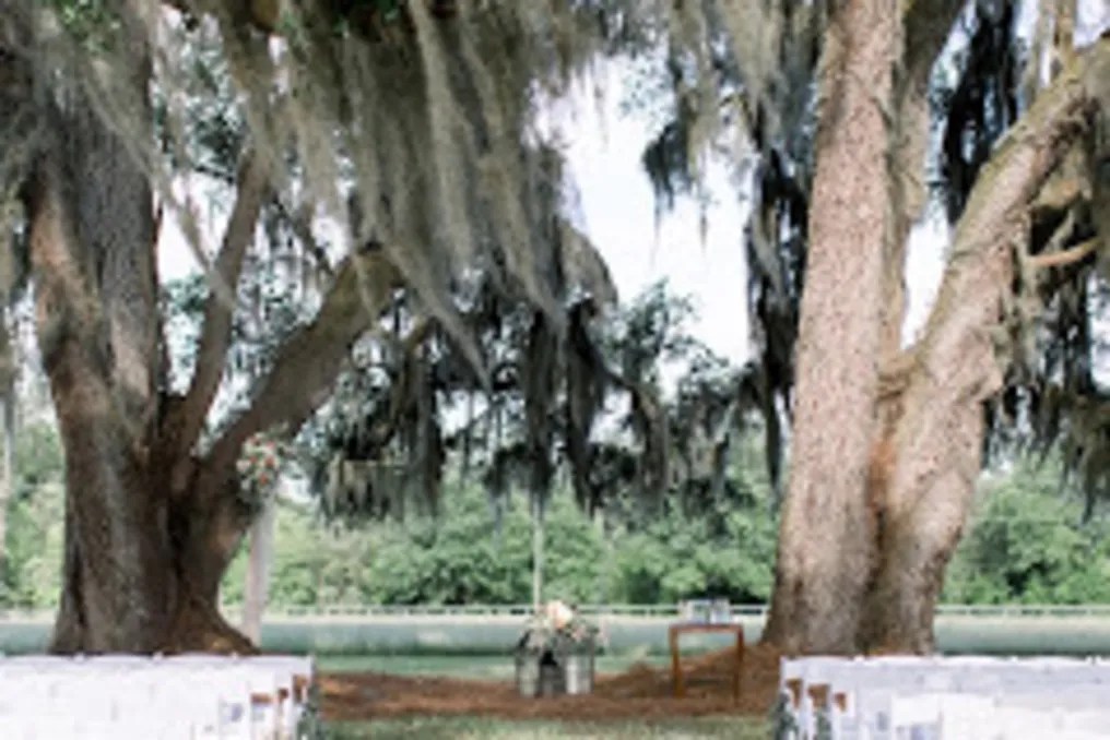 The Hideaway #27