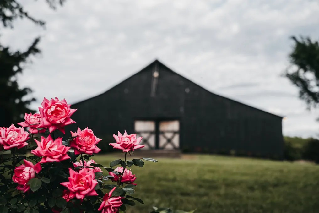 Black Barn at Stone Creek #1