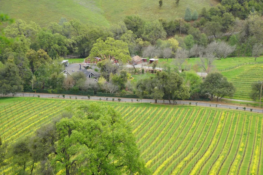 Dalton Ranch, LLC #31