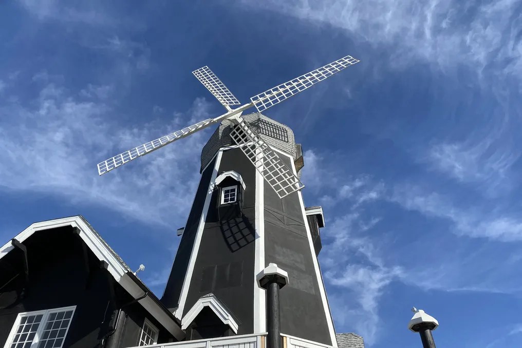 Carlsbad Windmill by Wedgewood Weddings #14