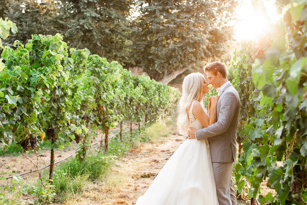 Monserate Winery #17