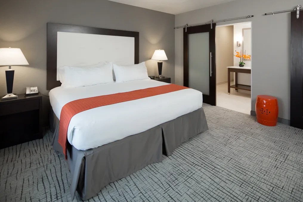 J Bar Holiday Inn & Suites Davenport #11