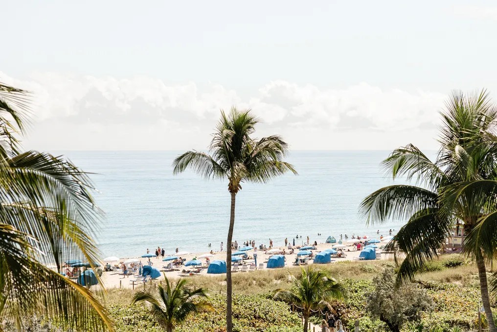 Opal Grand Oceanfront Resort #4