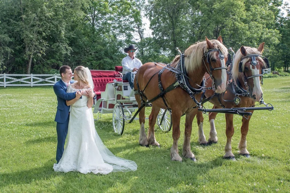 Erickson Farmstead Weddings & Events #24