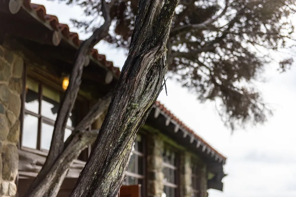Log Cabin at the Presidio #57