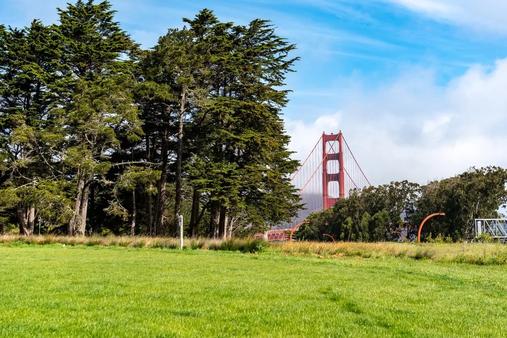 Log Cabin at the Presidio #59