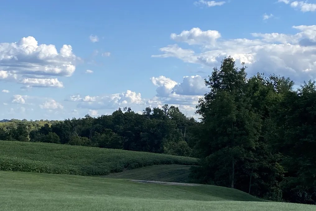 Maple Lawn Farm #2
