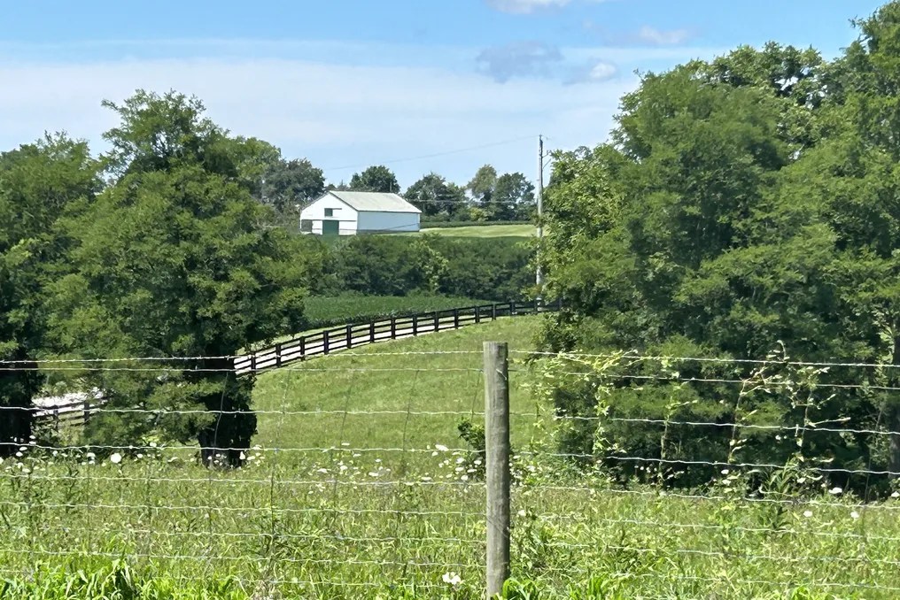 Maple Lawn Farm #9