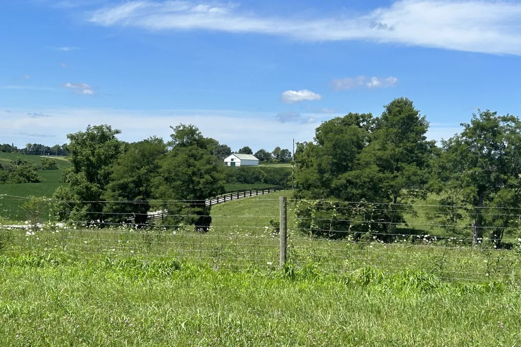 Maple Lawn Farm #10