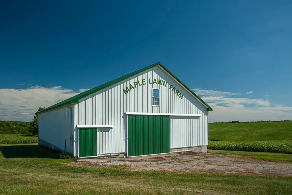 Maple Lawn Farm #16