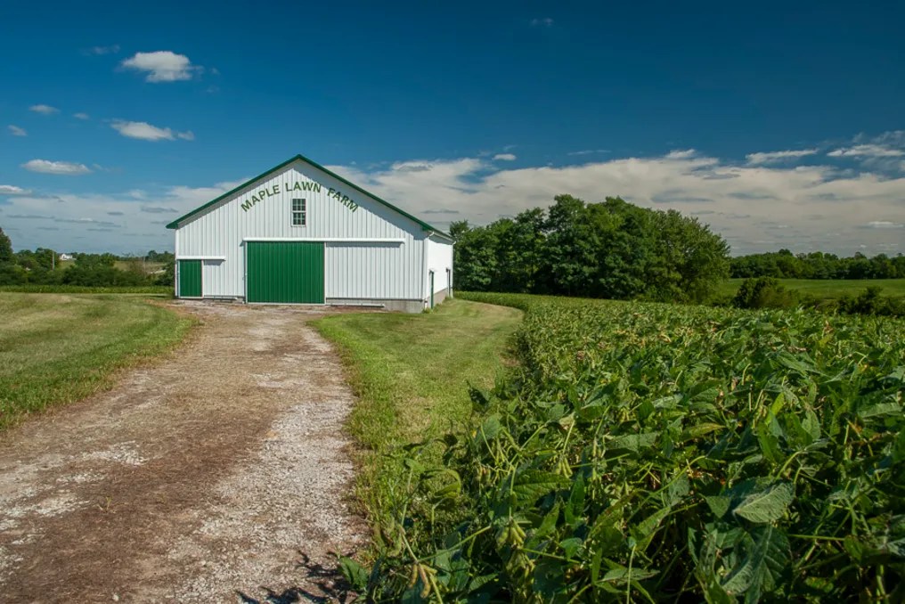 Maple Lawn Farm #17