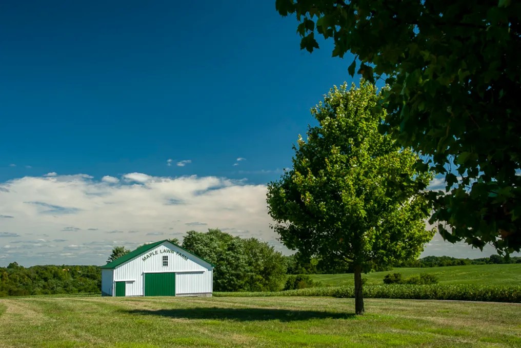 Maple Lawn Farm #31
