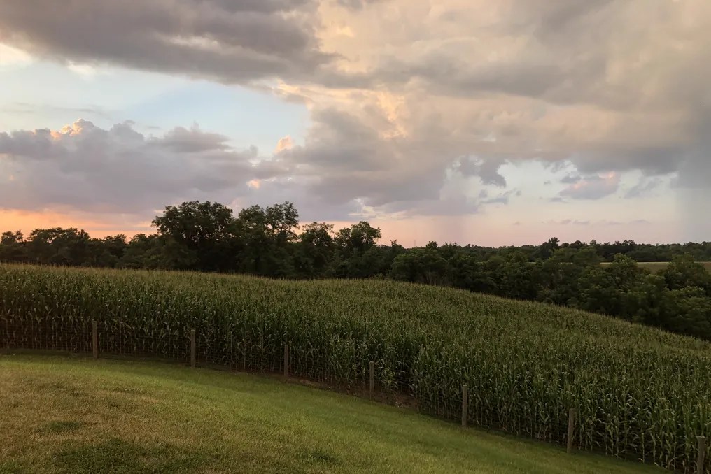 Maple Lawn Farm #62