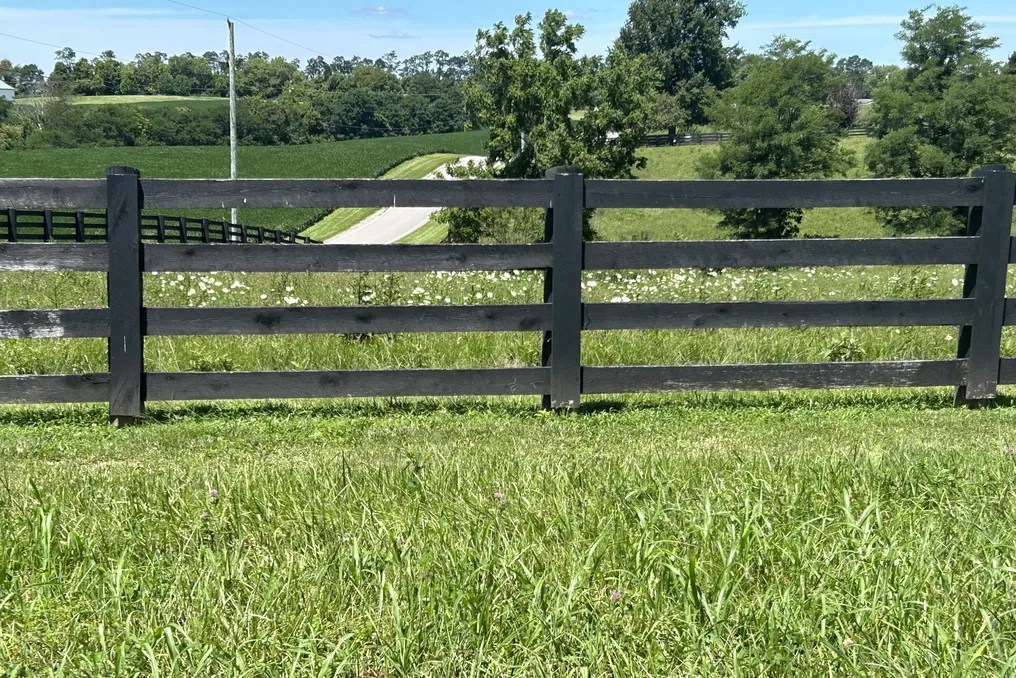 Maple Lawn Farm #67