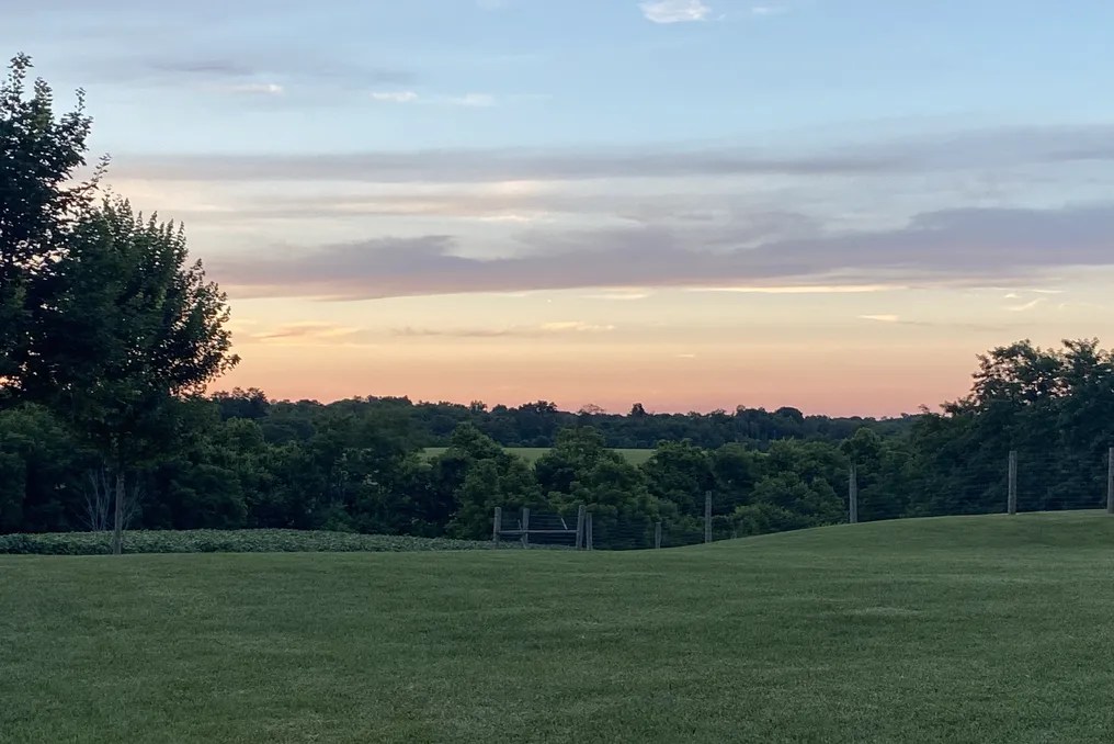 Maple Lawn Farm #70