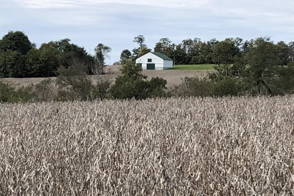 Maple Lawn Farm #71