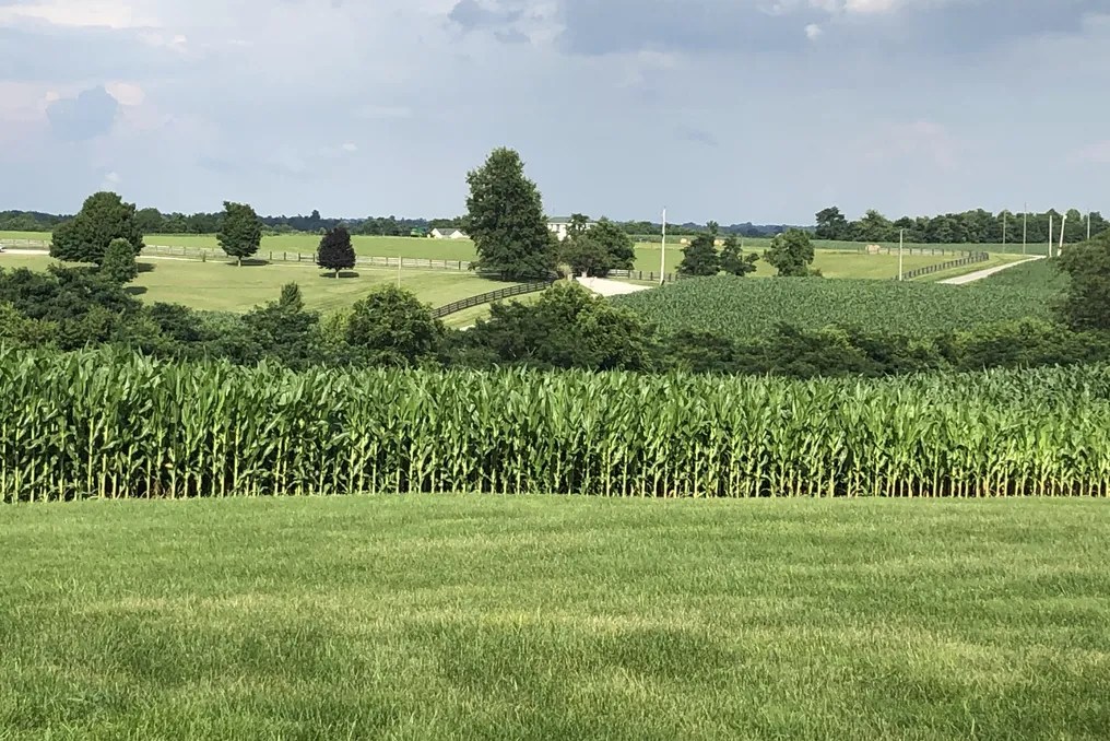 Maple Lawn Farm #72