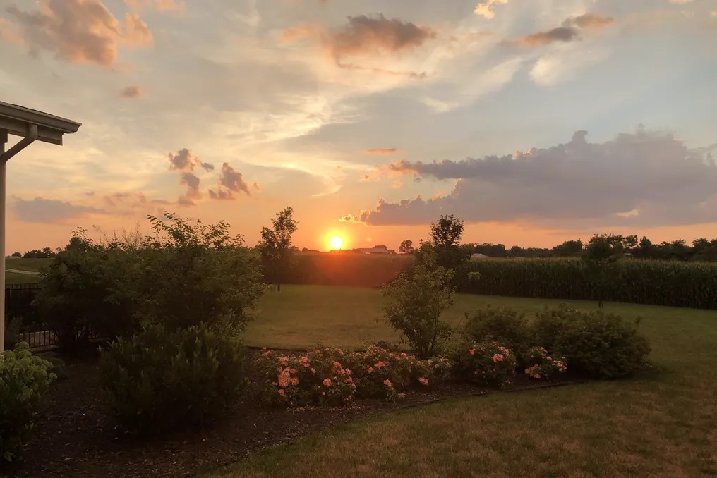Maple Lawn Farm #73