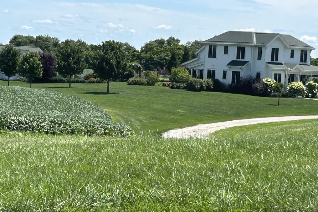 Maple Lawn Farm #75