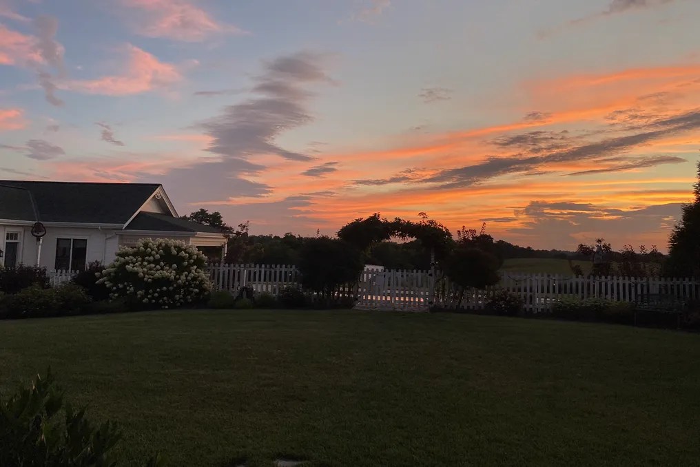 Maple Lawn Farm #76