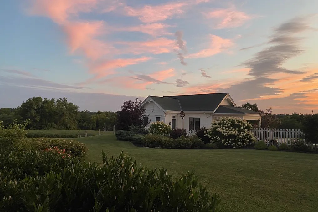 Maple Lawn Farm #77