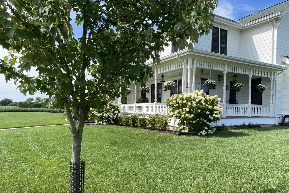 Maple Lawn Farm #79