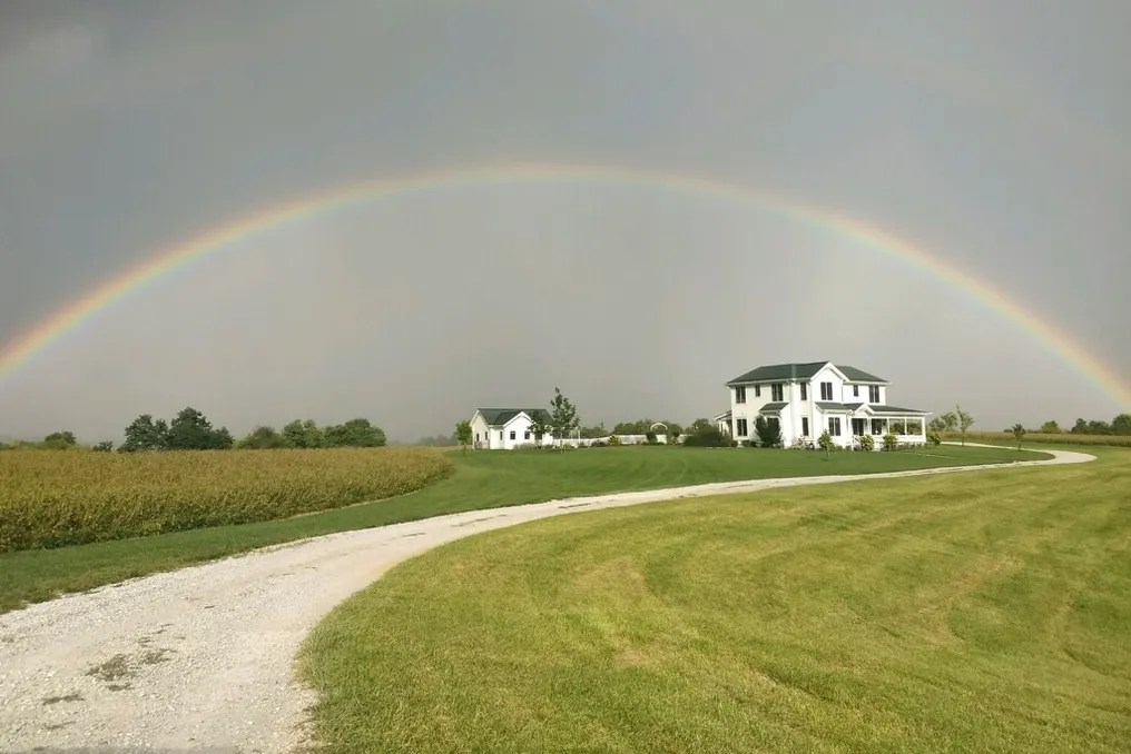 Maple Lawn Farm #82