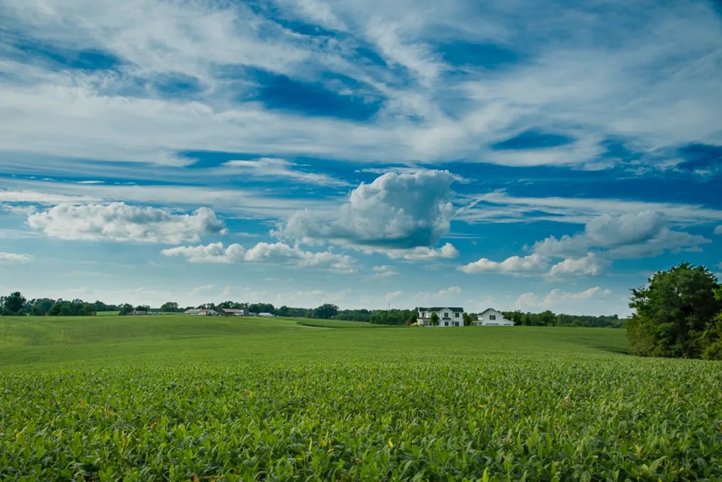 Maple Lawn Farm #89