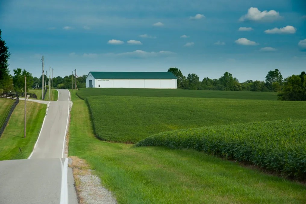 Maple Lawn Farm #90