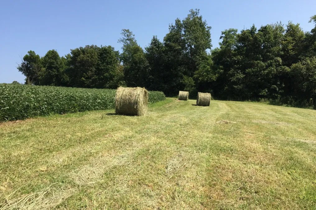 Maple Lawn Farm #93