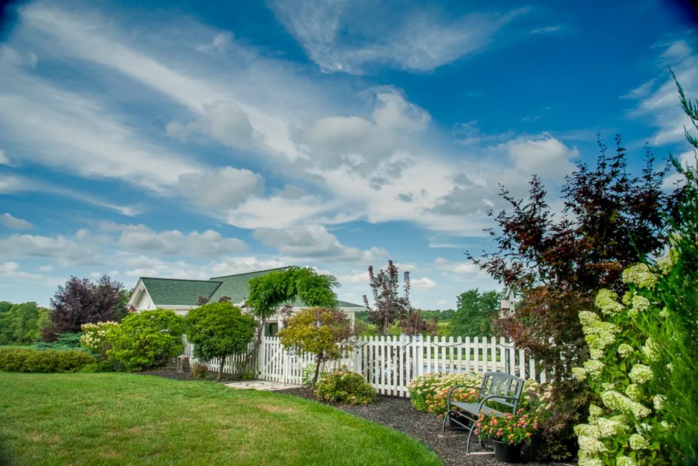 Maple Lawn Farm #96