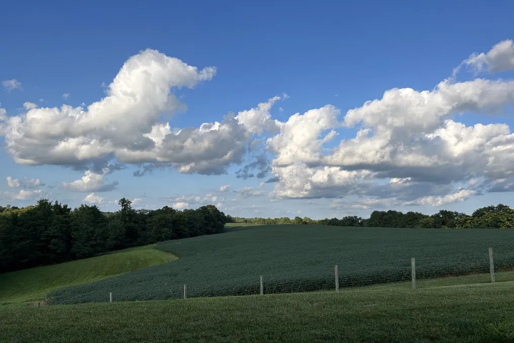 Maple Lawn Farm #104