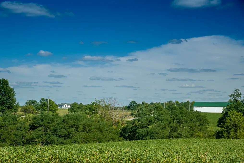 Maple Lawn Farm #106