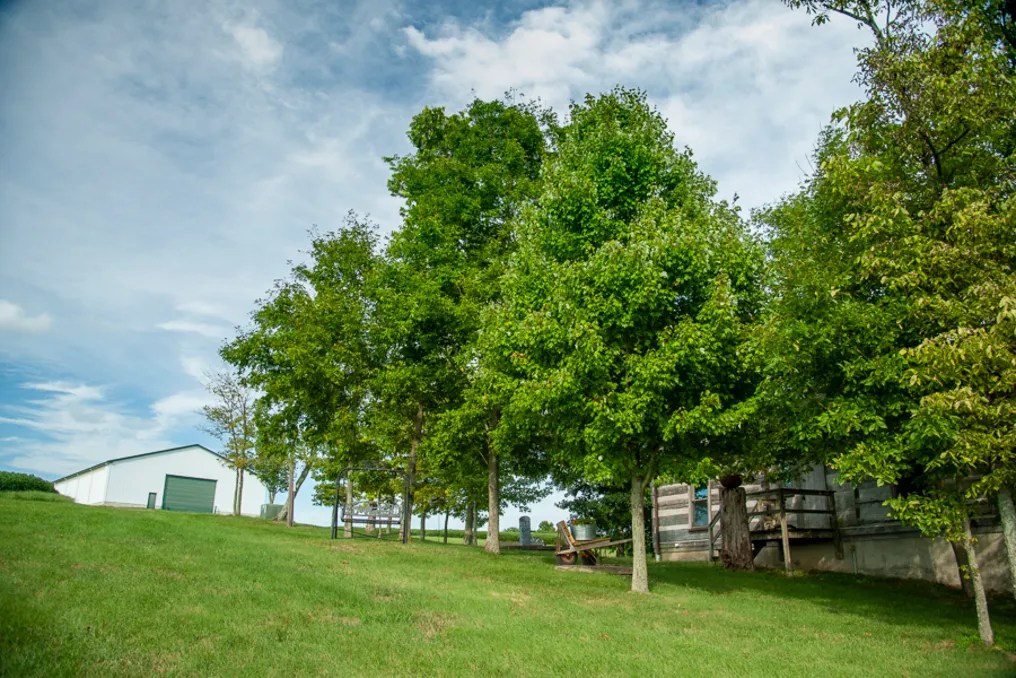 Maple Lawn Farm #110