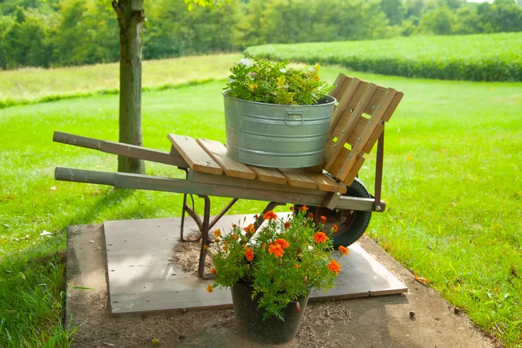 Maple Lawn Farm #112