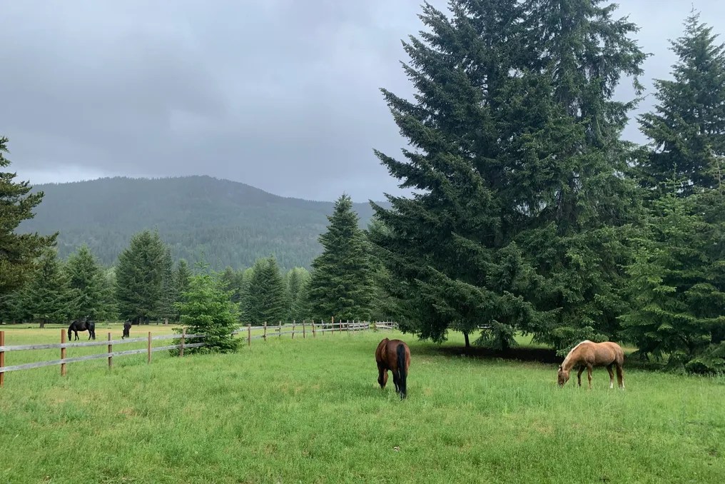 Silver Ridge Ranch #11