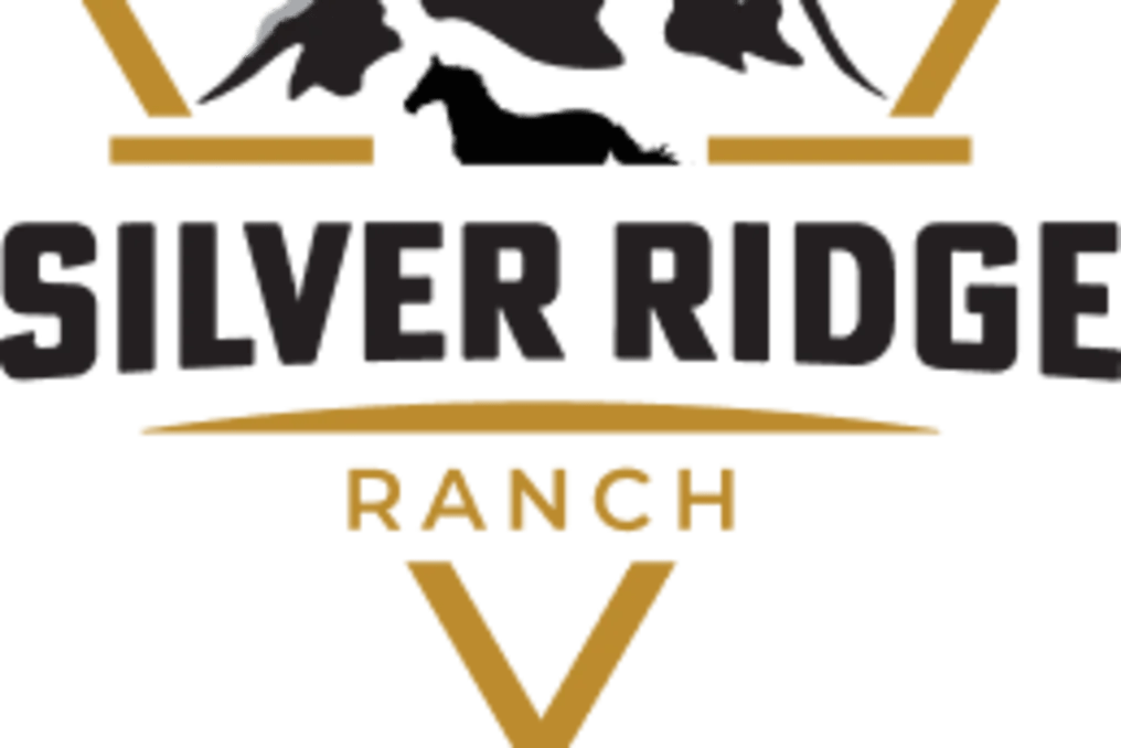 Silver Ridge Ranch #18