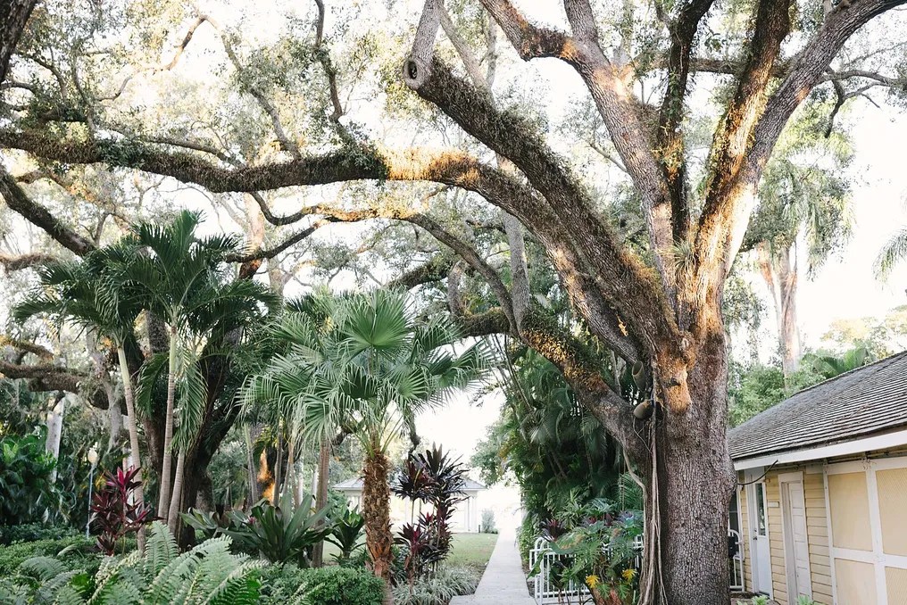 Burroughs Home & Gardens #17