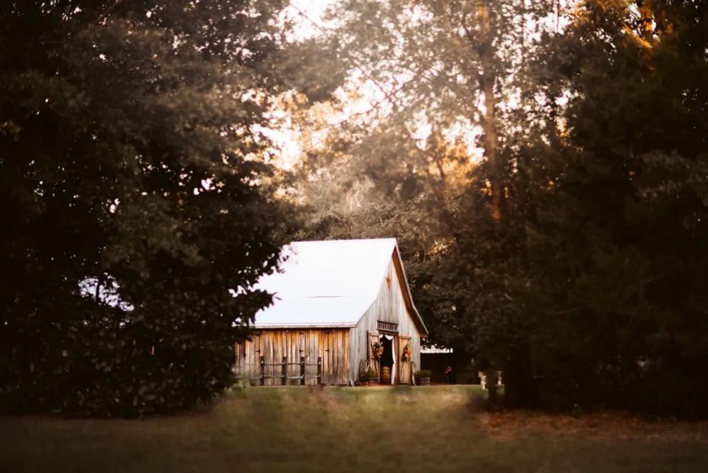 Daughter's Barn at Cedar Ridge #18